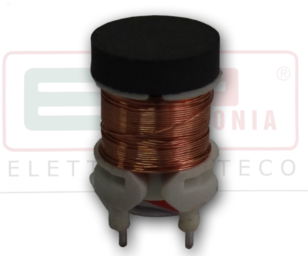 Coil 2